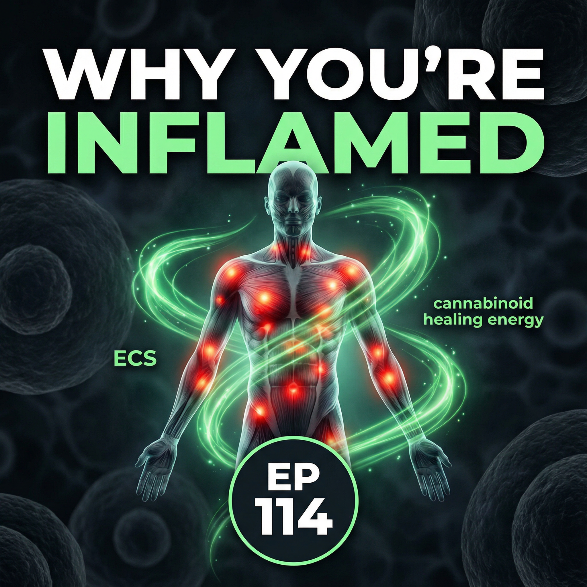 Why You're Inflamed (And What To Do About It)